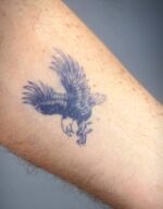 ⁦Nesr⁩ - الصورة ⁦2⁩